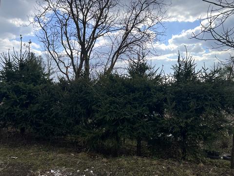 участок по адресу Степана Руданского ул.