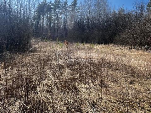 будинок за адресою лісний