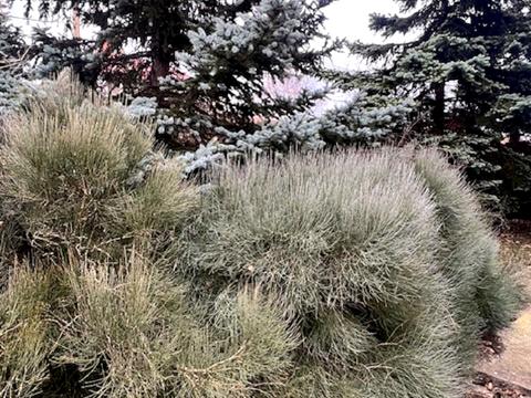 будинок за адресою набережна