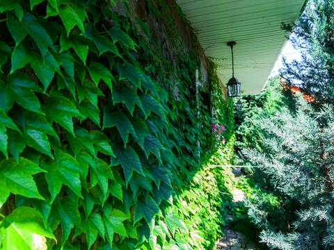 дом по адресу Озёрная ул.