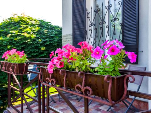 дом по адресу Озёрная ул.