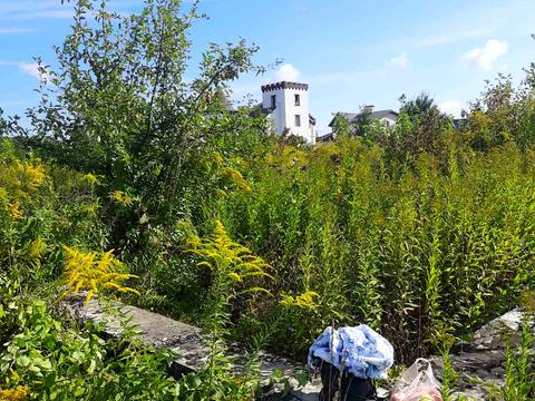 ділянка за адресою 