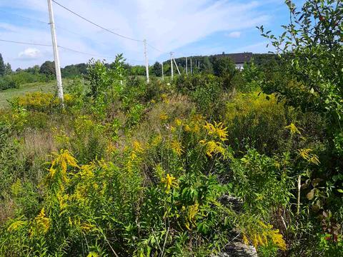 участок по адресу 