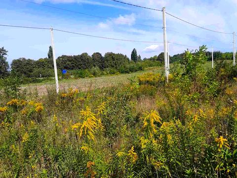 ділянка за адресою 