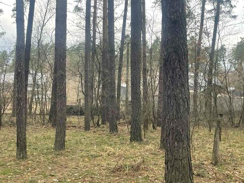 участок по адресу Лесная ул., 21