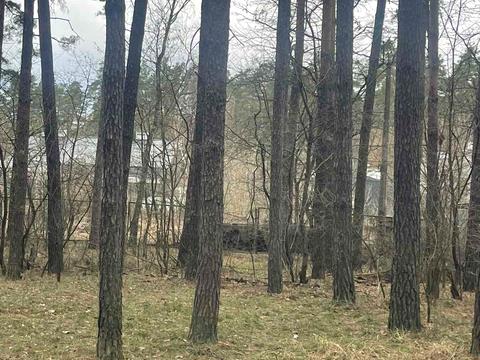 участок по адресу Лесная ул., 21