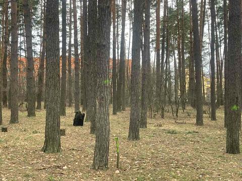 участок по адресу Лесная ул., 21