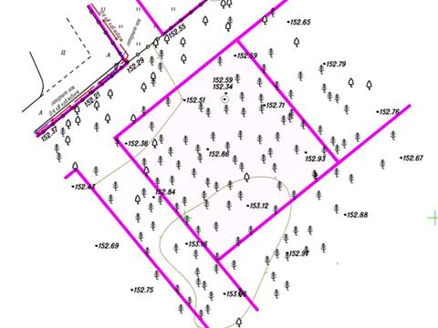 участок по адресу Лесная ул., 21