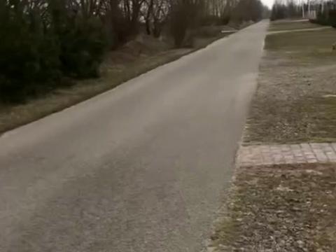 ділянка за адресою Садова вул., 98