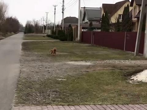 ділянка за адресою Садова вул., 98