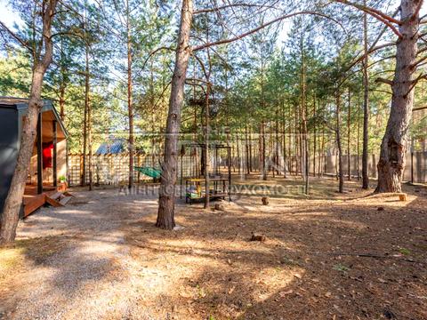 комерційна за адресою Покровська вул., 79