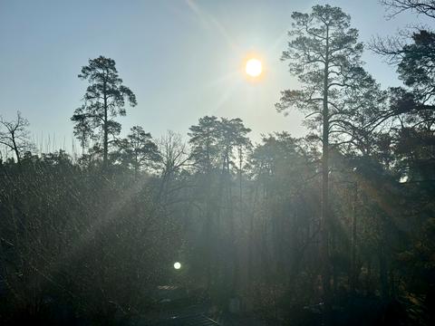 квартира по адресу Квітки Цісик ул. (Гамарника), 32