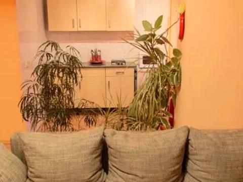 квартира по адресу Большая Васильковская ул. (Красноармейская), 124-А