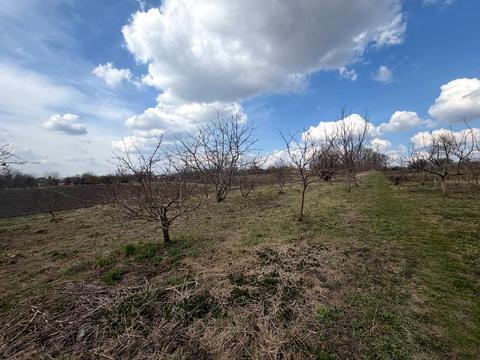 будинок за адресою Центральна, 73