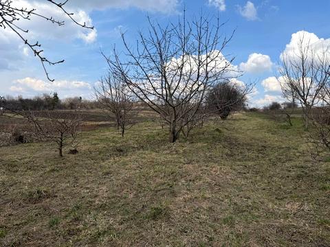 будинок за адресою Центральна, 73