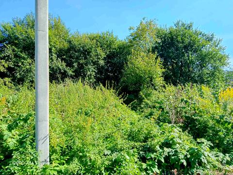 ділянка за адресою Львівська