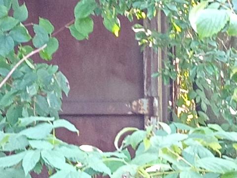 ділянка за адресою Львівська