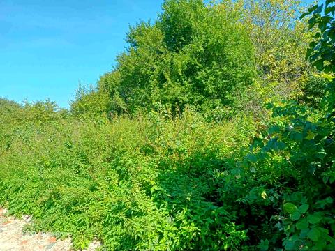 ділянка за адресою Львівська