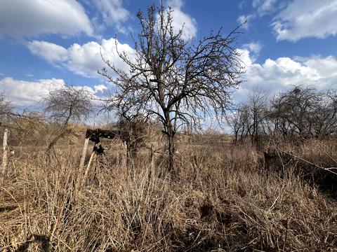 будинок за адресою Козацька