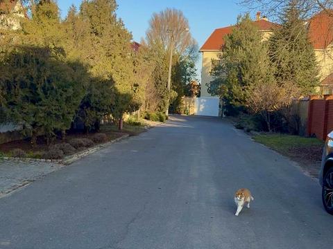 ділянка за адресою ближняя