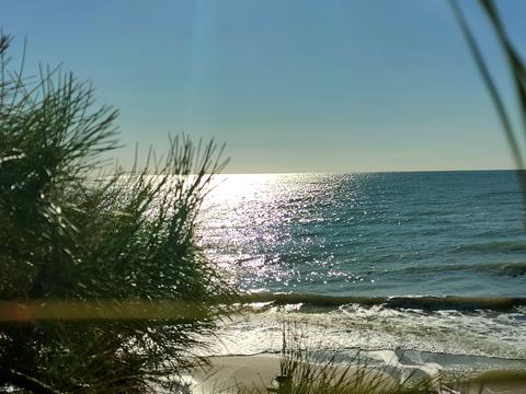 ділянка за адресою гоголя, 23