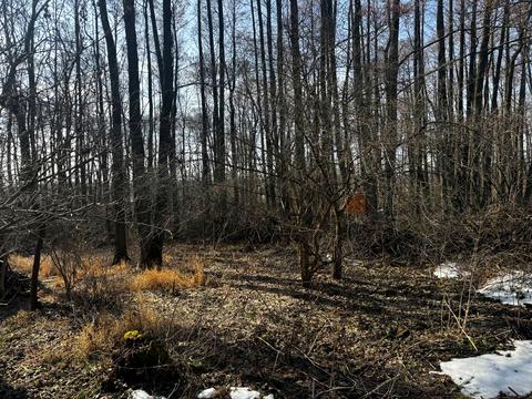 будинок за адресою Медова, 803