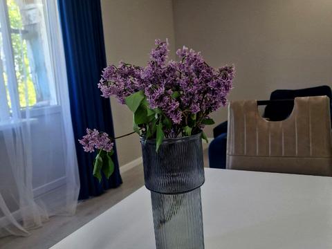 квартира за адресою Галини Мазепи вул. (Софії Ковалевської), 53