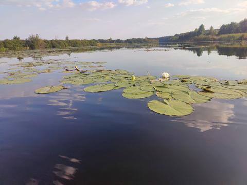 ділянка за адресою Острівна вул.