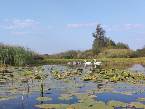 ділянка за адресою Острівна вул.