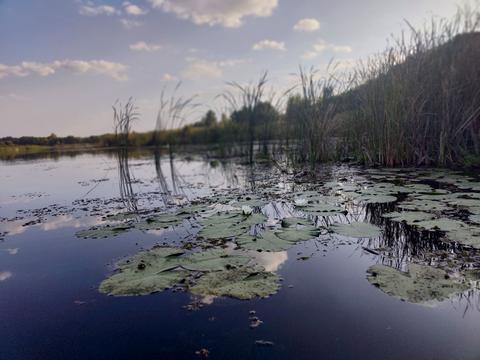 ділянка за адресою Острівна вул.