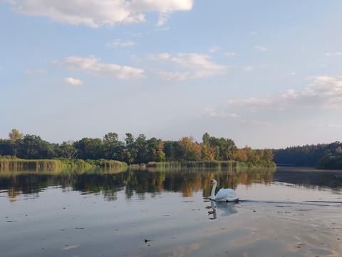 ділянка за адресою Острівна вул.