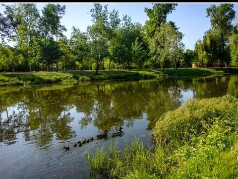 квартира за адресою Воскресенська вул., 12-Б