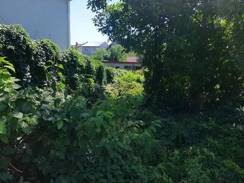 ділянка за адресою Академіка Гамалея вул.