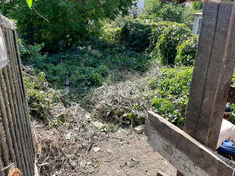 ділянка за адресою Академіка Гамалея вул.