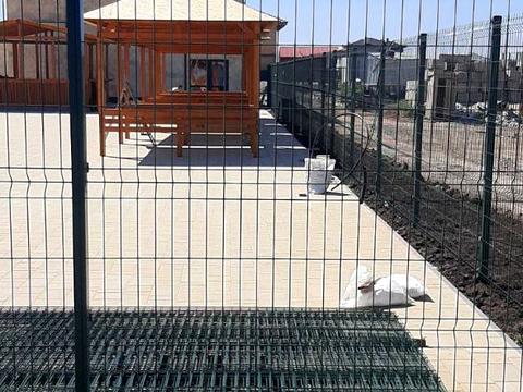 участок по адресу Дайберг