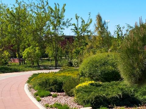 ділянка за адресою Дайберг