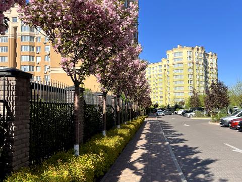 квартира за адресою Абрикосова вул., 3-Б