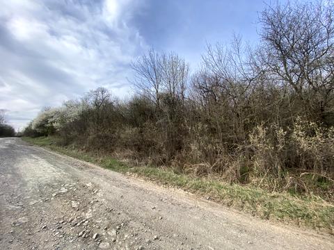 участок по адресу Центральна