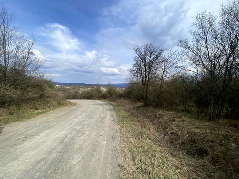 участок по адресу Центральна