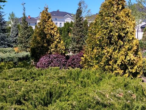 ділянка за адресою Дайберг