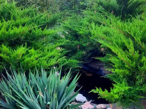 дом по адресу центральная