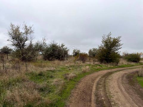 участок по адресу Радісна, 1