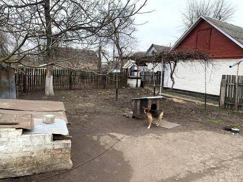 дом по адресу Соборна, 46