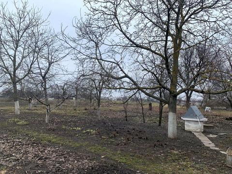 дом по адресу Соборна, 46