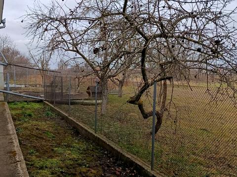 будинок за адресою Стасюка, 10