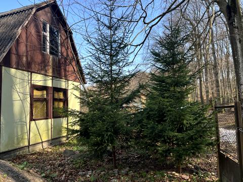 ділянка за адресою 