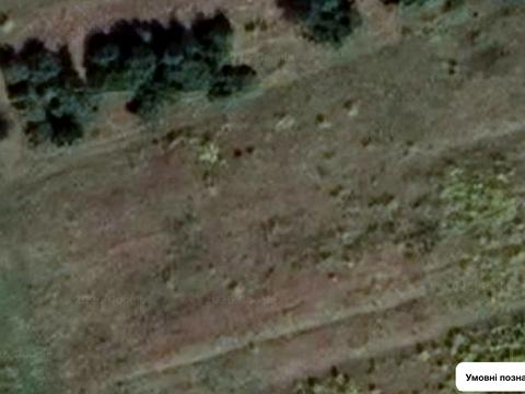 участок по адресу с. Колодиевка, Прошака, 38