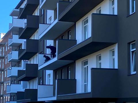 квартира за адресою Галицька вул., 109