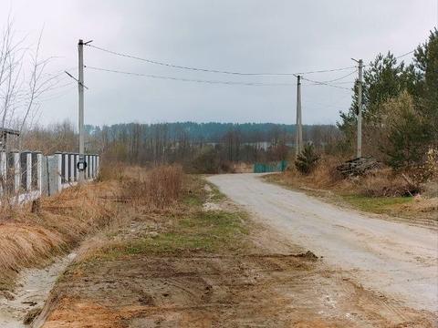 участок по адресу с. Борки, Золотого Лева