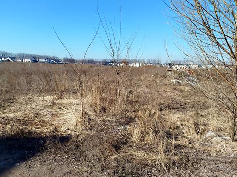 ділянка за адресою Благовісна вул.